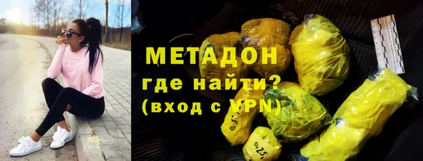 шишки Инта