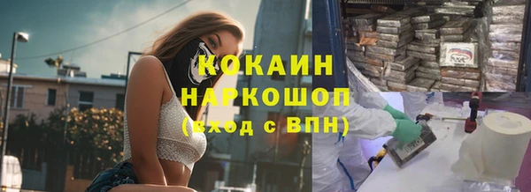 шишки Инта