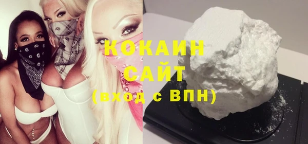 шишки Инта