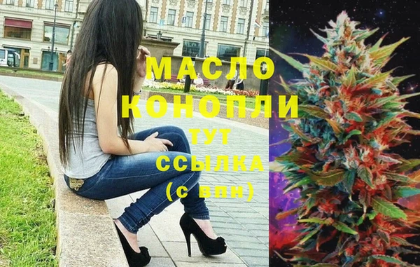 шишки Инта