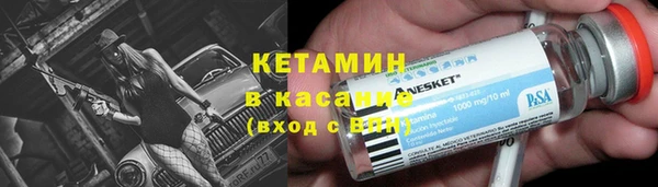 шишки Инта