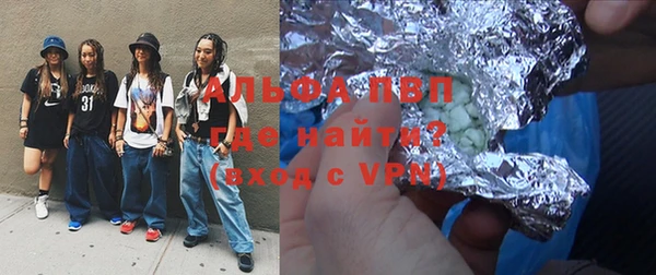 шишки Инта
