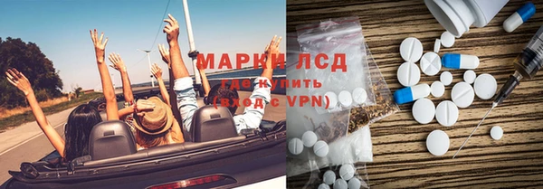 шишки Инта