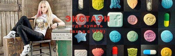 шишки Инта
