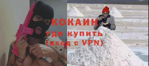 шишки Инта