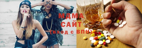 шишки Инта