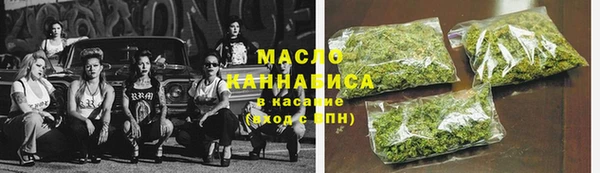 шишки Инта